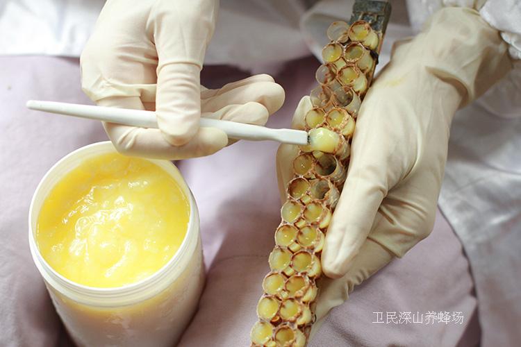 新浆现取 深山鲜活蜂王浆|蜂皇浆 农家自产 顺丰空运 检测报告