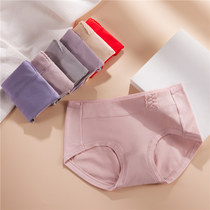 Middle Waist Pants Woman Pure Cotton Graphene Antibacterial Breathable Full Cotton Shorts Mother Lady Closeout Big Code Triangle Pants Head