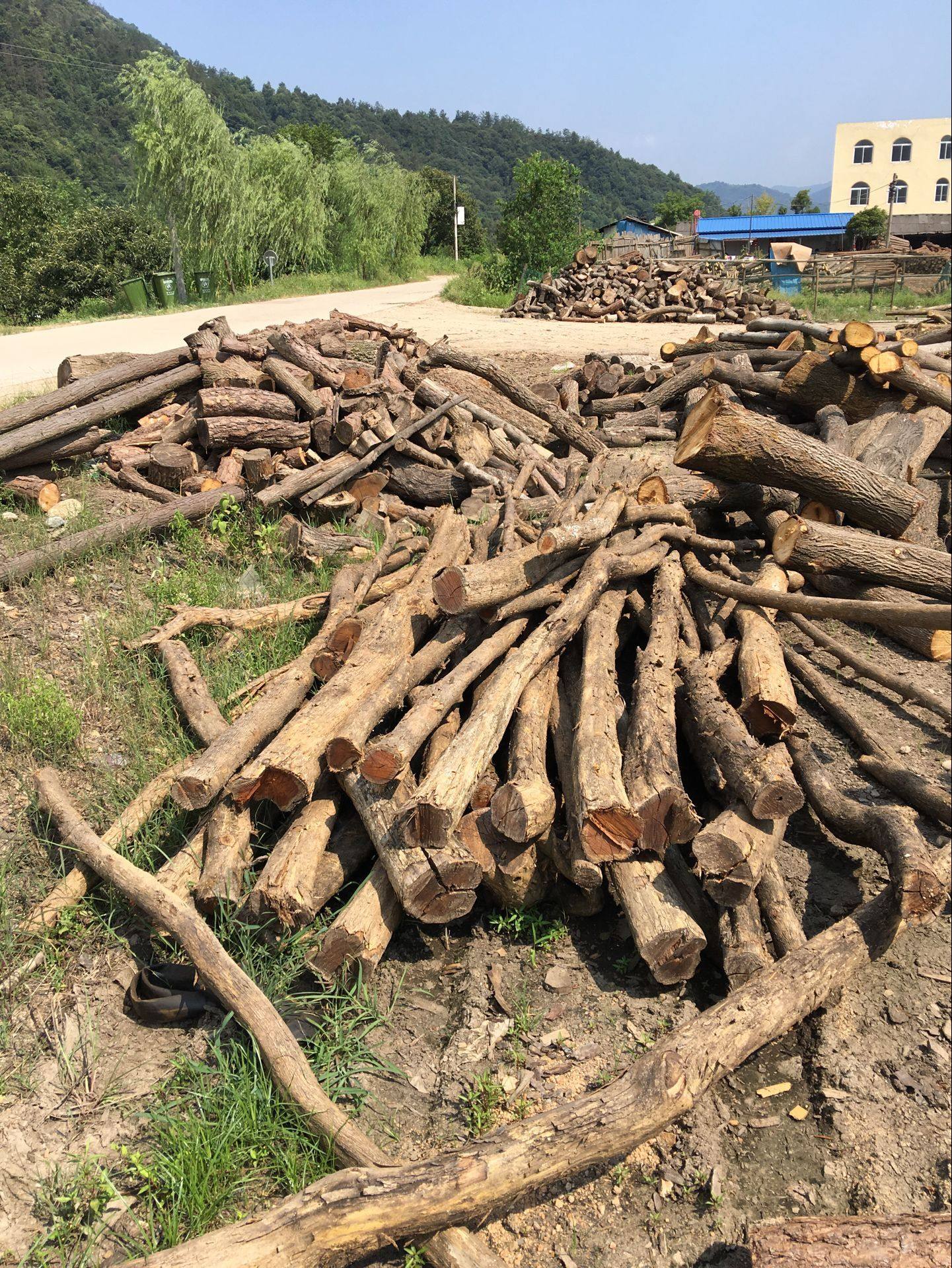 柘木手串料手串原木料木条 弹弓料 黄金柘木料 雕刻料大别山硬木