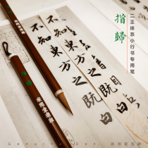 Zhao Mengs Books Wolf Wolf Brush refers to the special pen of Erwang calligraphy by Wang Xizhi Wang Xizhi Wang Xizhi Wang Xizhi