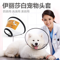 Love eye pet Elizabeth ring anti-scratch ring anti-scratch collar beauty cover dog hood dog hood cover