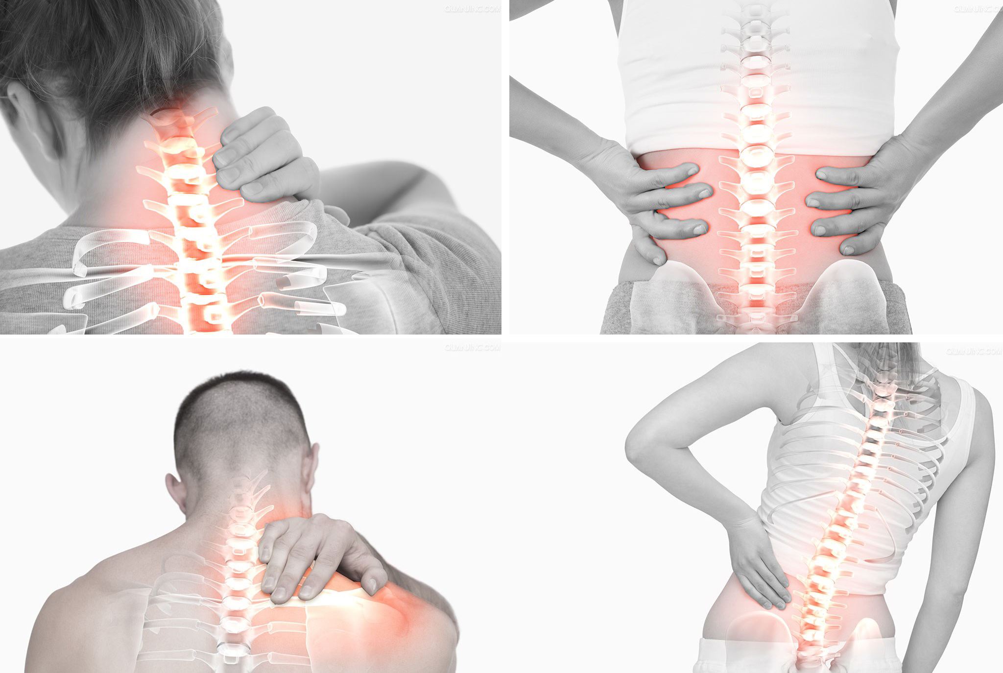 苗疆追风除湿零售价是多少 市场价格及到底多少钱一盒