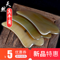 Horn scraping cervical spine special neck plate facial shaving artifact female facial detoxification beauty whole body white water Jade