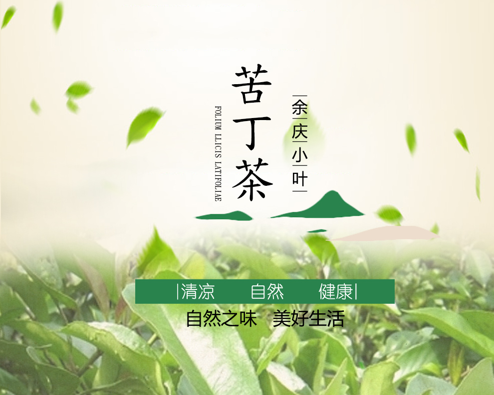 苦丁茶包邮野生贵州特产余庆小叶苦丁茶河江牌袋泡200g新茶