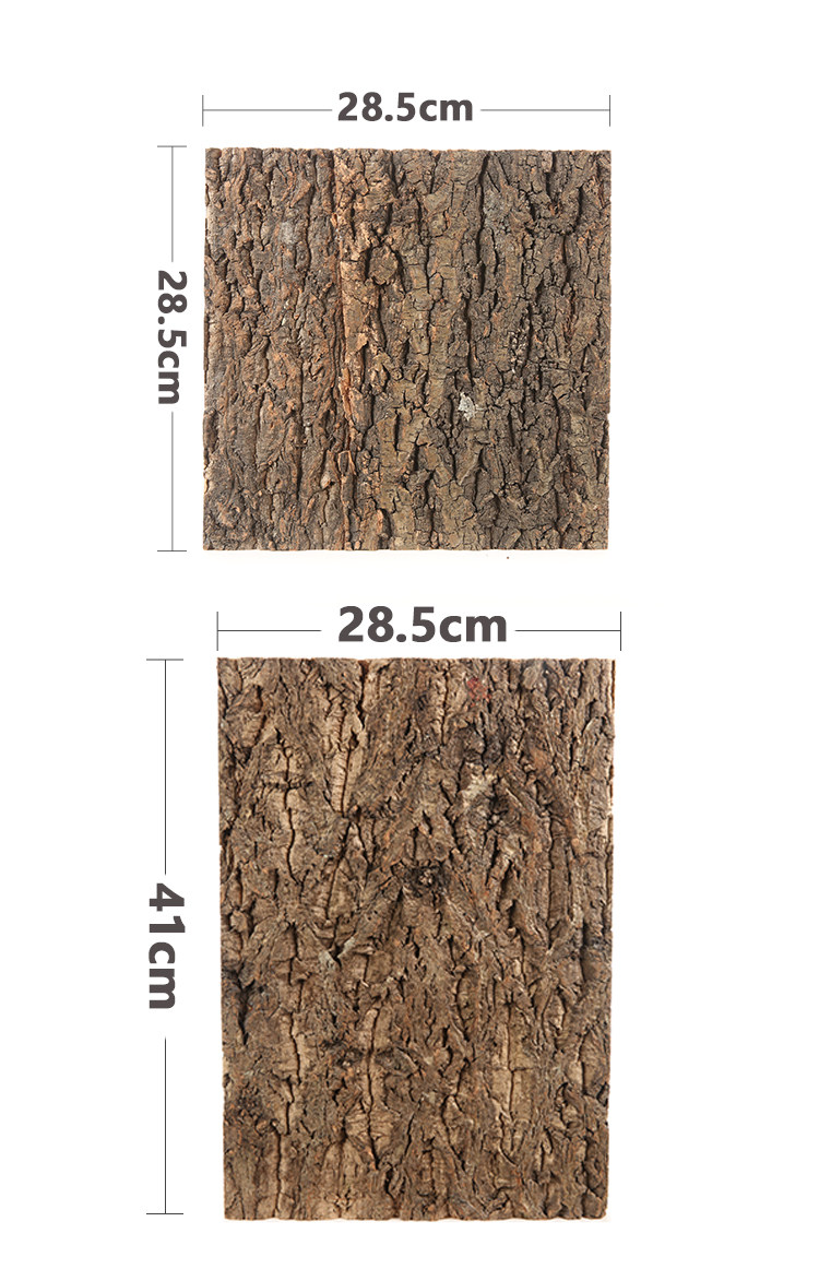 repti-zoo爬箱饲养箱造景树皮背景板自然树皮变色龙树蛙蛇守宫