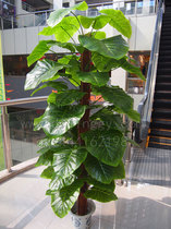 Simulation dummy artificial plant tree large multi-leaf large number green rose water dripping living-room office gift decoration