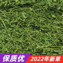 22 years New grass special A grade purple flower clover grass dried grass rabbit grass grain dragon cat feed guinea pig Dutch pig grass leaves much