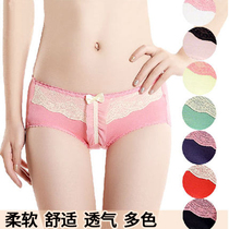 Lace mesh bow girl baby briefs ladies bottoms