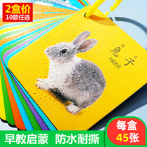 Childrens gift of Young Young Childrens Toys Teach Animal Fruit Color Literacy Cognitive Card