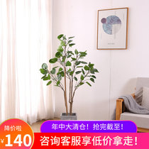 Nordic Wind Emulation Money Pocket Green Planting Decoration Floor Large Simulation Green Planting Living-room Indoor Pendulum Fitting Fu Lutung
