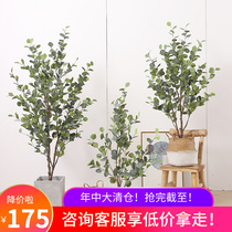 Nordic Ins Wind Indoor Emulation Ugali Money Tree Potted Simulation Fake Tree Green Plant Folk Sleeping Ornament Swing Piece