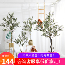 Nordic Ins Emulation False Plant Olive Grove Potted Landscape Large Floor Indoor Clothing Shop Window Furnishing Green Plant