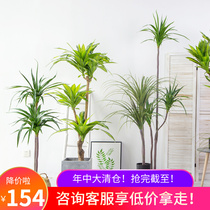 Nordic Large Emulation Pineapple Tree Basil Wood Dragon Blood Tree Hotel Mall-like board room etc. shop window green plant swing piece