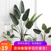 Simulation Green Plant Decoration Ground Brigade People Banana Living Room Nordic Wind Swing Pieces Large Plant Indoor Simulation Potted Trees