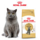 Royal cat food bs34 British short cat food special 2kg blue cat indoor adult cat young fattening hair gills not 10 kg Royal cat food bs34 British short cat food special 2kg blue cat indoor adult cat young fattening hair gills not 10 kg