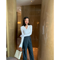 ADA MISS new color Zhou Yutong temperament lapel full wool bottoming womens pullover slim polo sweater womens autumn