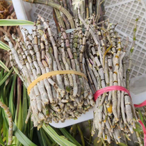 Guizhou deep mountain native specialties are now pure natural fresh edible Dendrobium candidum original four-year fresh strip 500g