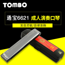 TOMBO Tongbao 6621 21 Kong Kong Accent Harmonica Beginology Adult Children General School Play Exercises
