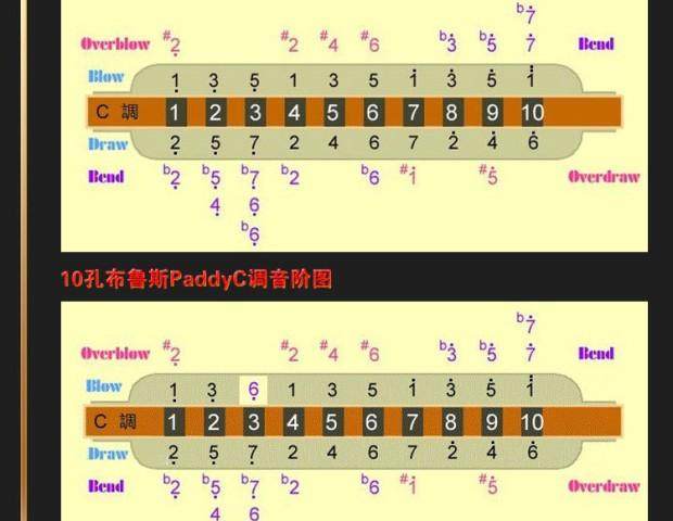 沸沸口琴东方鼎正品蓝调布鲁斯十孔口琴10孔初学t008k paddy音阶