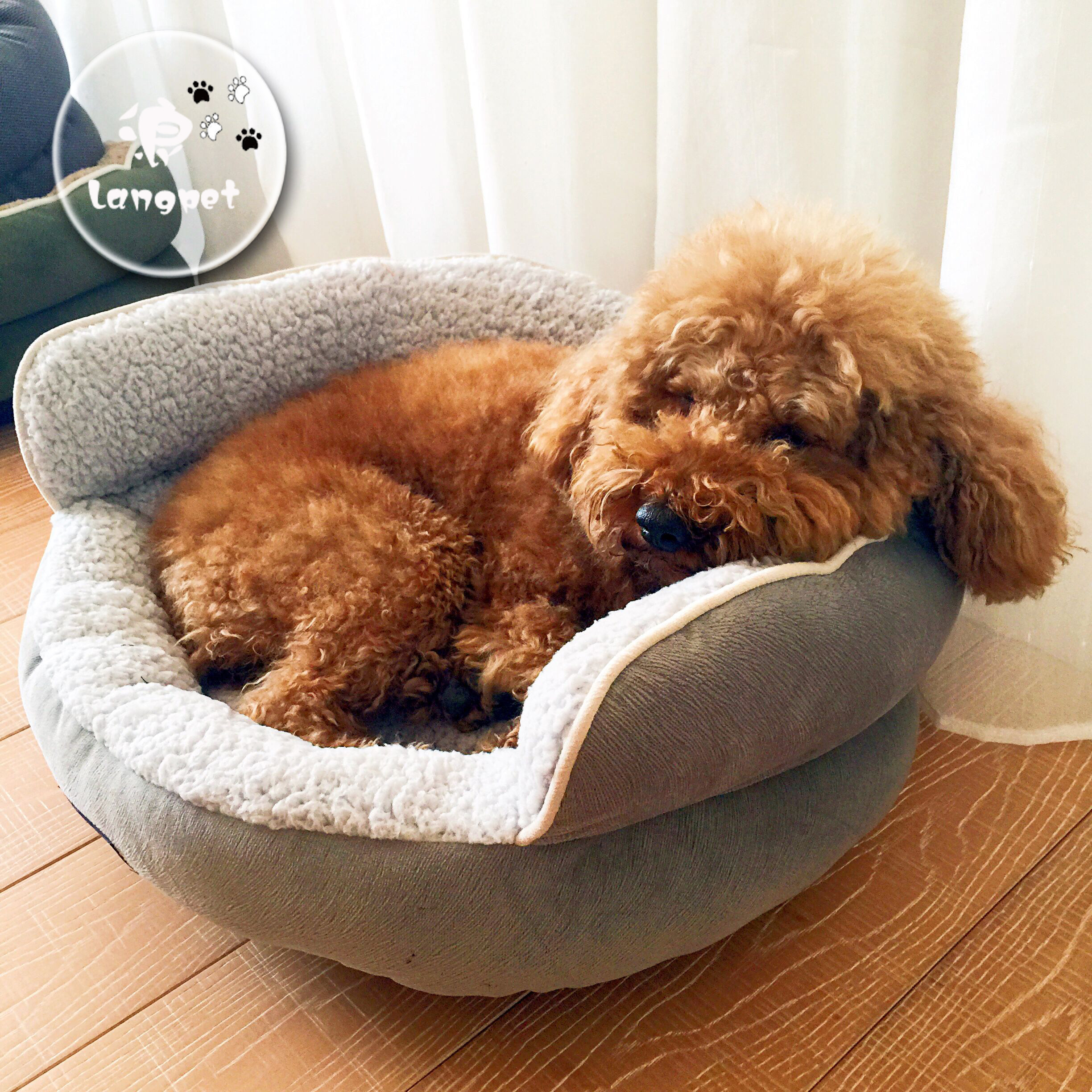 浪家清新文艺高靠背猫窝狗窝厚实秋冬保暖宠物垫子床沙发用品包邮_不