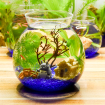 Creative landscaping fish tank ornamental ecological bottle fish micro landscape Free water change free care diy aquarium office desktop