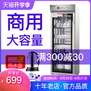 naperton household disinfection cabinet commercial large-capacity vertical stainless steel single door 450l kitchen tableware disinfection cupboard