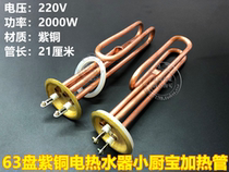 63 plate copper dragon boat type hook-shaped electric water heater heater heating tube small kitchen treasure electric heating tube 220V 2000W