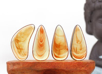 Bihe Guzheng nails for children adults beginners professional performance thickened guzheng nails free guzheng tape