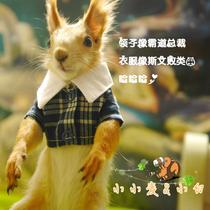 Snowy Yellow Hills Flowers Branches Pine Ferrets Tutu Clothing Flipped Plaid Shirts Lovers Special Body Size Can Be Ordered