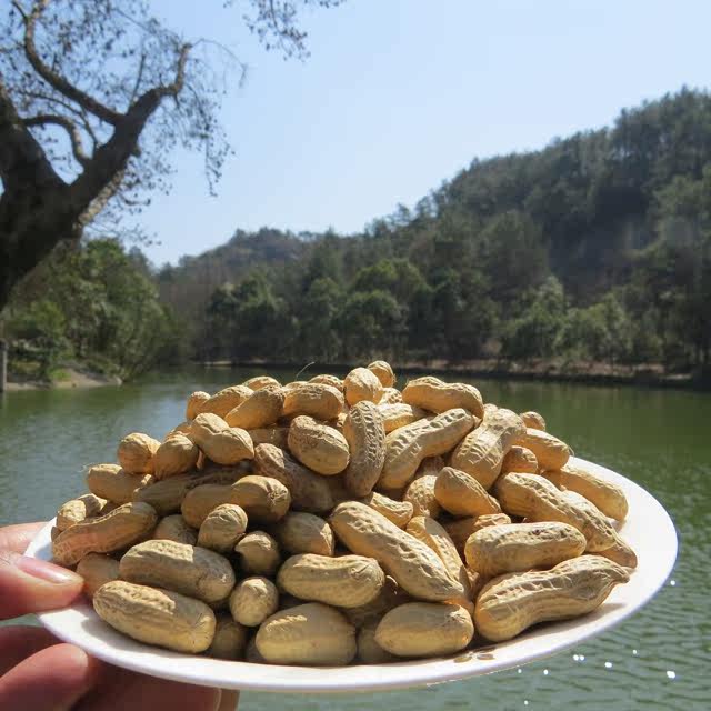 2018 新货 新昌小京生(小红毛)花生 土特产 休闲零食 现炒 正品