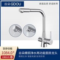 German GDOU Valley Dot bathroom 62153 single-hole full copper hot and cold water tank water purification double use multifunctional kitchen tap