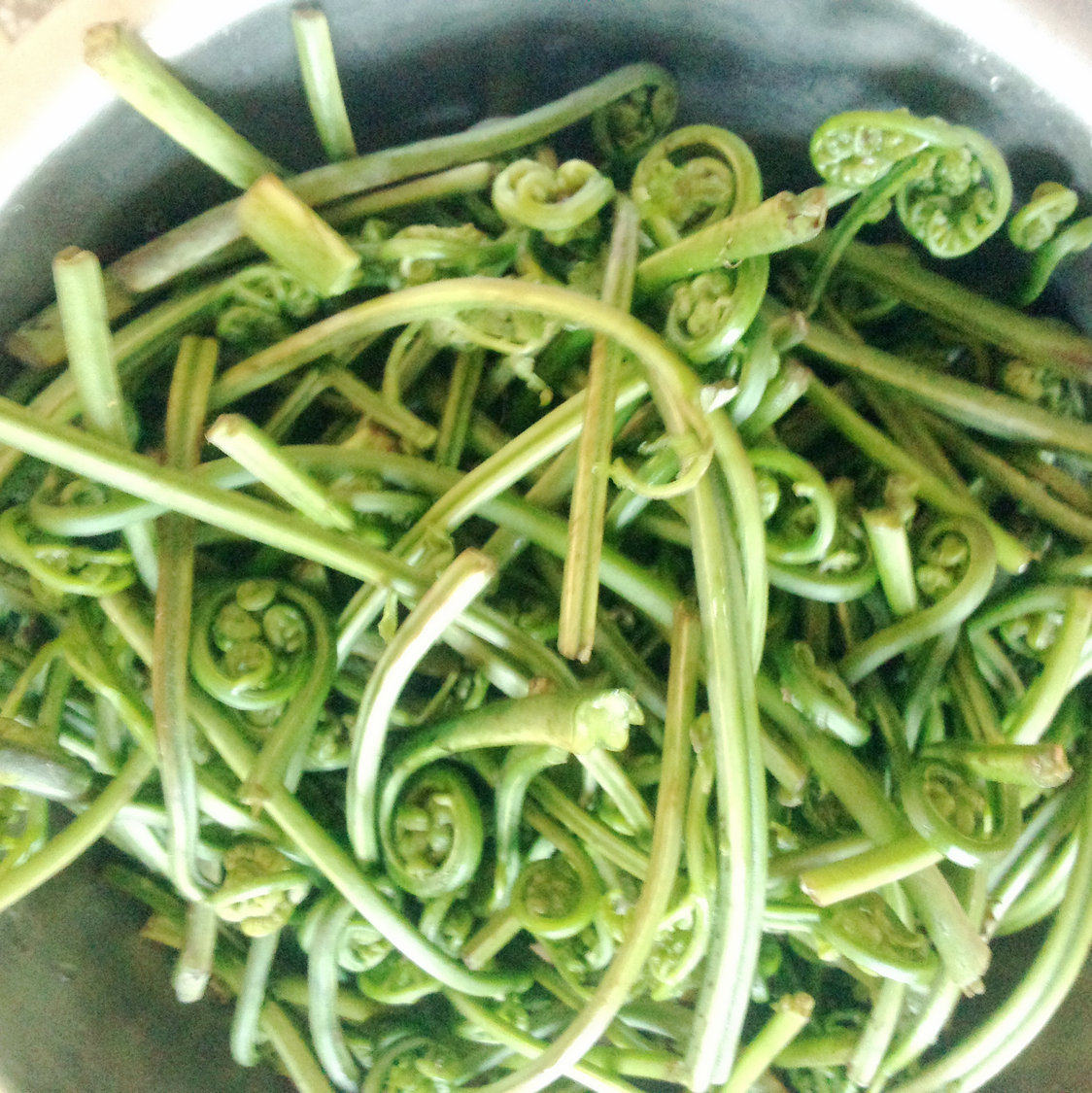 江西安福小菜野菜 野生水蕨菜拳头蕨菜 新鲜采摘蕨根菜3份包邮