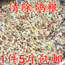 Clear pigeons pigeons feed pigeons health sand young pigeons ornamental pigeons ornamental pigeons