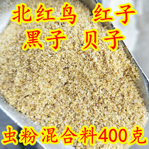 (No 2)North red Red shell black yellow bird Yellow bird Bird food feed Bird food Starling wren young bird feed