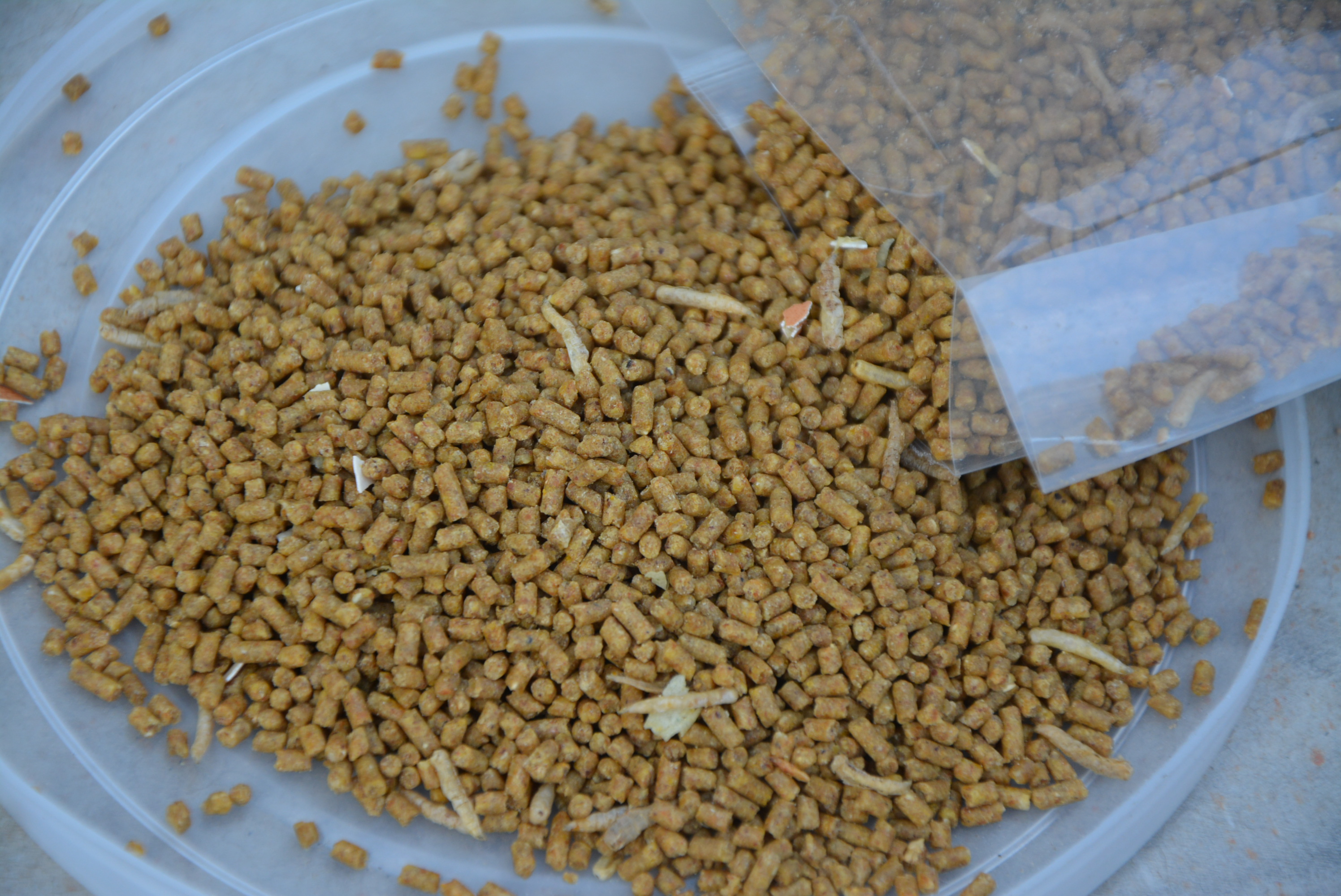 雷公山鸟食提性壮膘鸟食斗鸟唱鸟画眉鸟食饲料鸟粮鸟料全国包邮