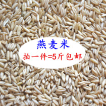 Oatmeal Parrot Bird food feed tiger skin peony small sun pigeon grain 5kg