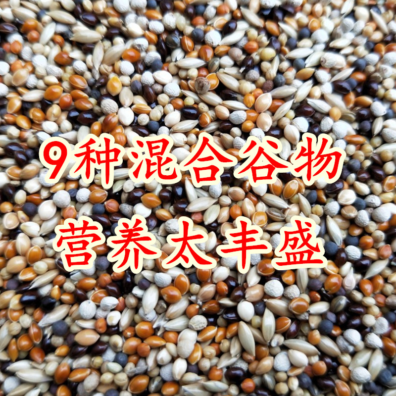 芙蓉鸟 玉鸟 黄雀 白燕麻雀鸟食 金丝雀雀鸟饲料鸟食鸟粮