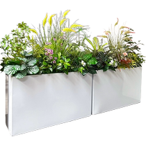 wo Simulated foxtail grass reed flower box green plants and flowers mixed with commercial street landscaping decoration outdoor partition display
