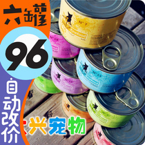 Daxing Pets ● German Catz Kaizi Valley-free staple food Canned kittens 200g × 6 Cans