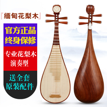Shure Yuexin pipa musical instrument for adults and children beginners practice playing the graded pipa Myanmar rosewood pipa