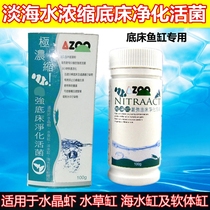 Taiwan Ai AZOO concentrated powder bottom bed purification of viable bacteria nitrifying bacteria 100g