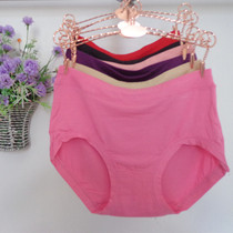 Pure cotton Modal briefs for women high waist stretch large size underwear versatile leggings hip pants new