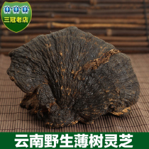 Yunnan wild thin tree Ganoderma lucidum pruning wild Ganoderma lucidum thin tree layer pore bacteria Linzhi Ganoderma lucidum tablets 250g