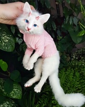 (Sold For Display) Hands Slow No Demon White Cat Movable Doll Russian Artist Hands For Bjd Ride