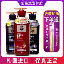 Korean Amore Violet Shampoo Dew Control Oil Fluff Anti-Dandruff Anti-Itch Hair Loss Set Men's Shampoo Cream