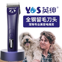 British gentry LB970D pets Remain hair big electric push cut electrocut-cut beauty shaw Moyer charger steel cutter head can grind