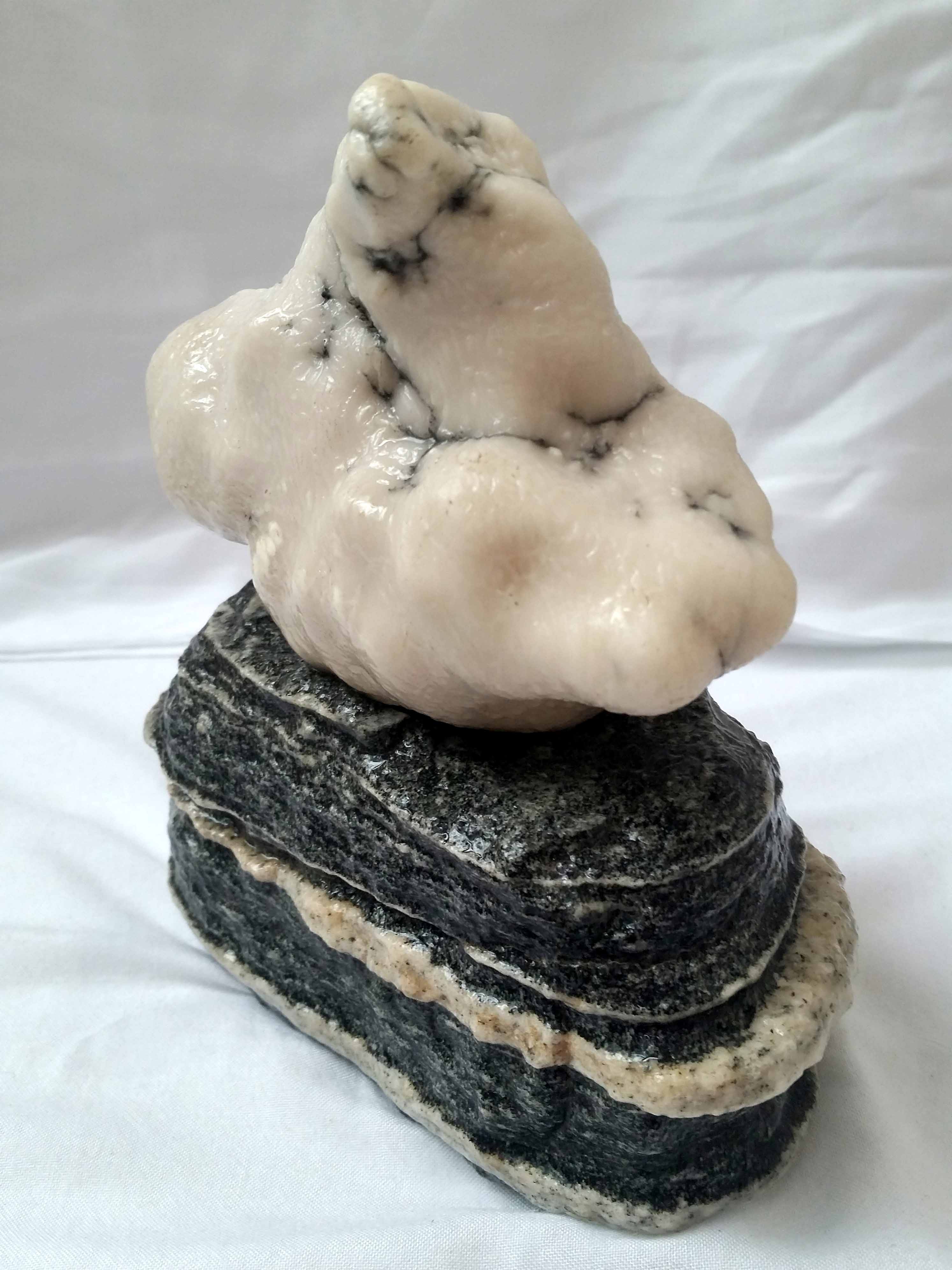 新疆蛋白石 奇石 原石 象形石《海狮》底座为风凌石 组合摆件