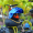 Чёрная утка (голубая голова третьего уровня)