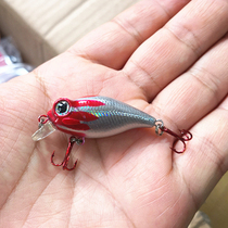 3-10 grams of a little fat sublet go for the bait.