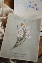 Photography background card Photography props Photo arrangement Floral photography